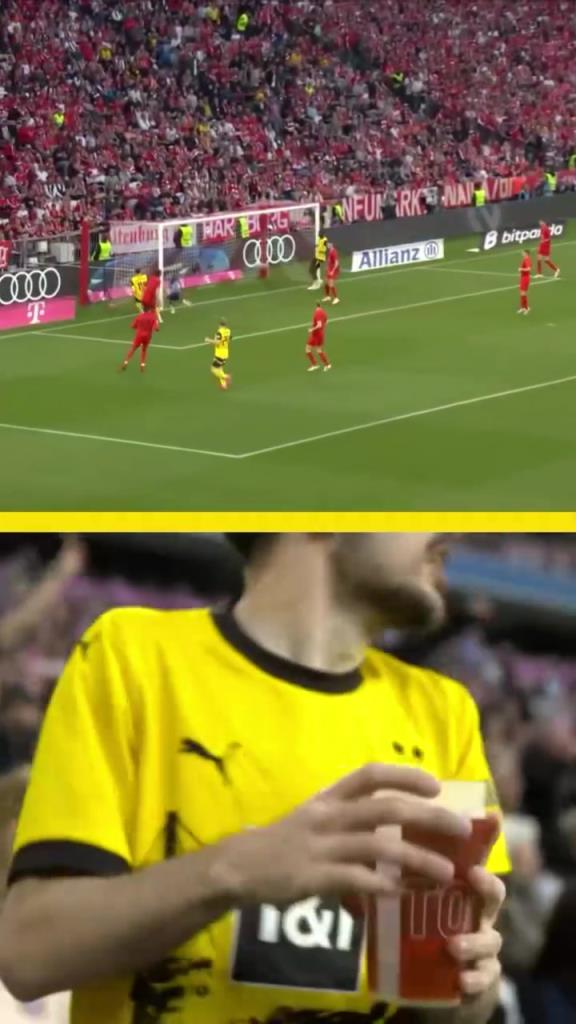 勇者無(wú)懼！這是真多特球迷！在拜仁球迷區(qū)一個(gè)人肆意慶祝！